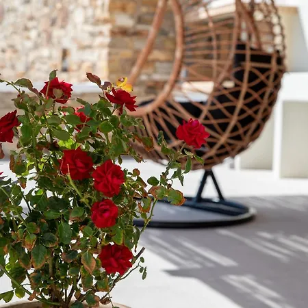 Naxos Skyline Luxury Agkidia