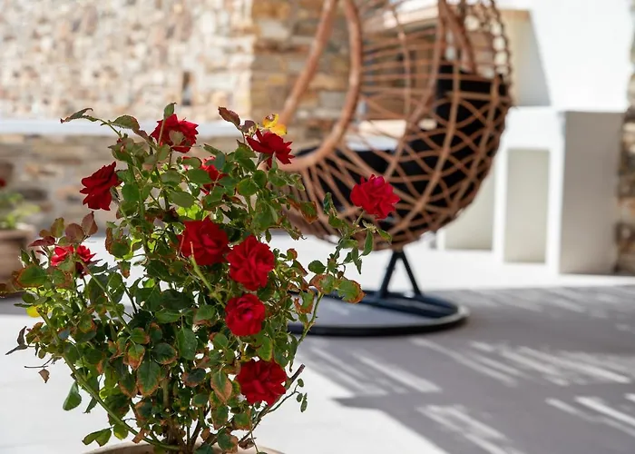 Naxos Skyline Luxury Agkidia